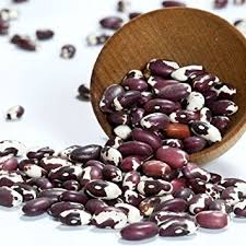 Anasazi Beans