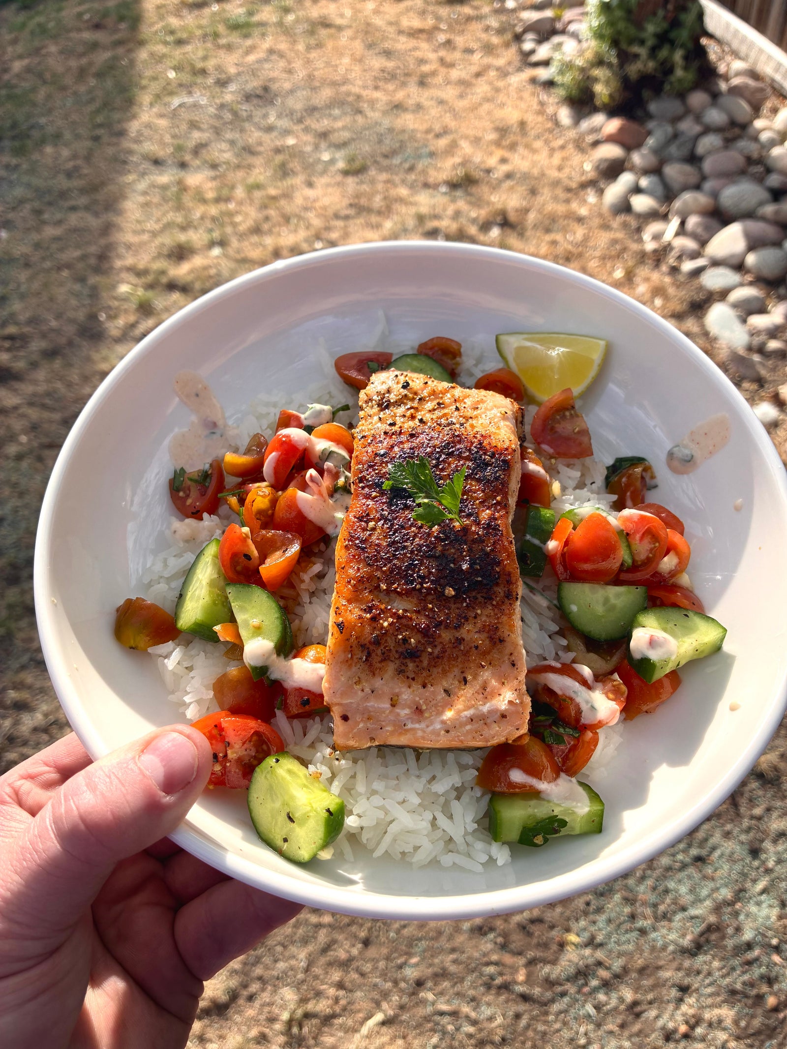 Seared Salmon with Lemony Rice & Herby Yogurt