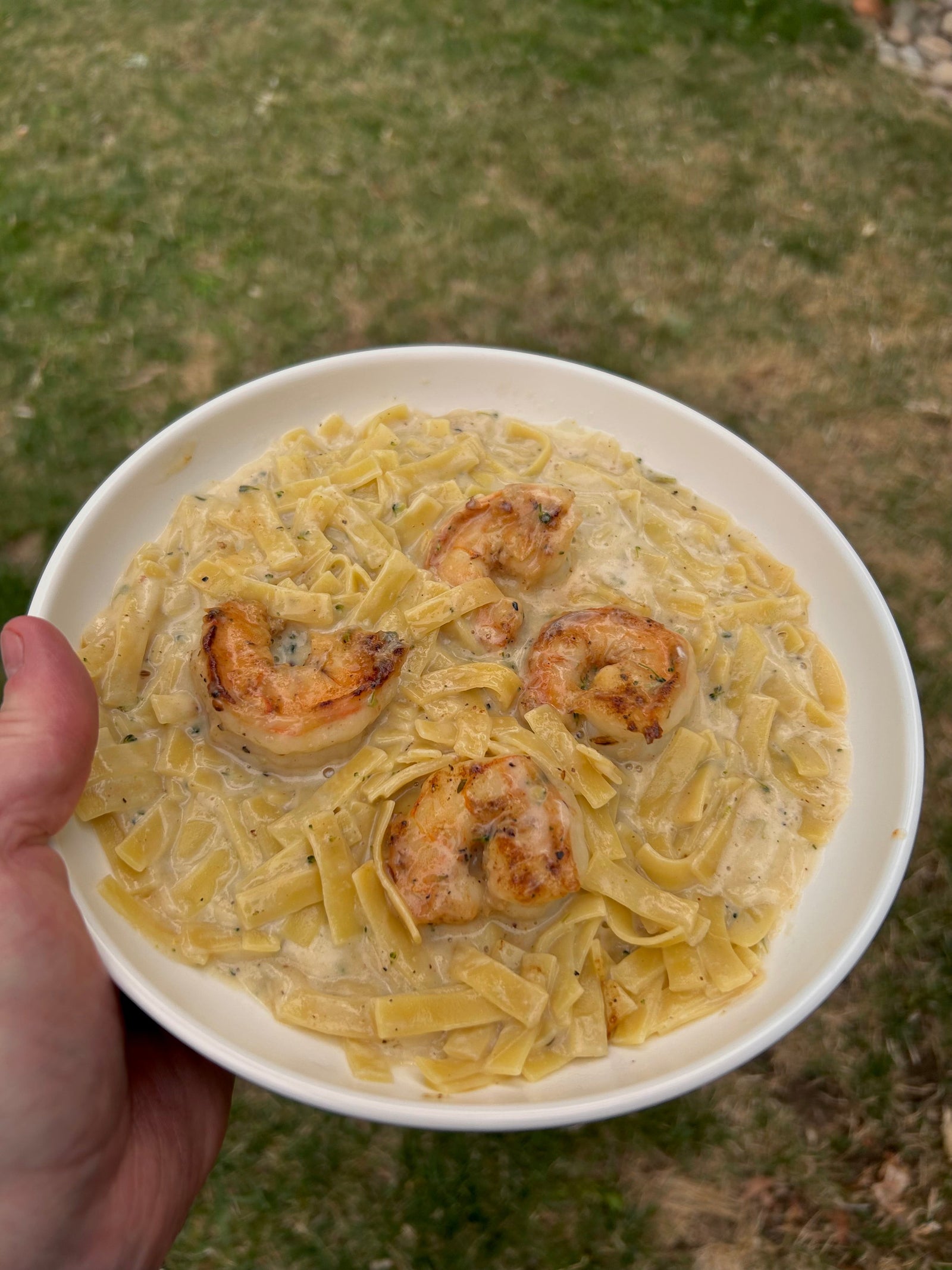 Grilled Shrimp With Creamy Alfredo Fettuccine Pasta