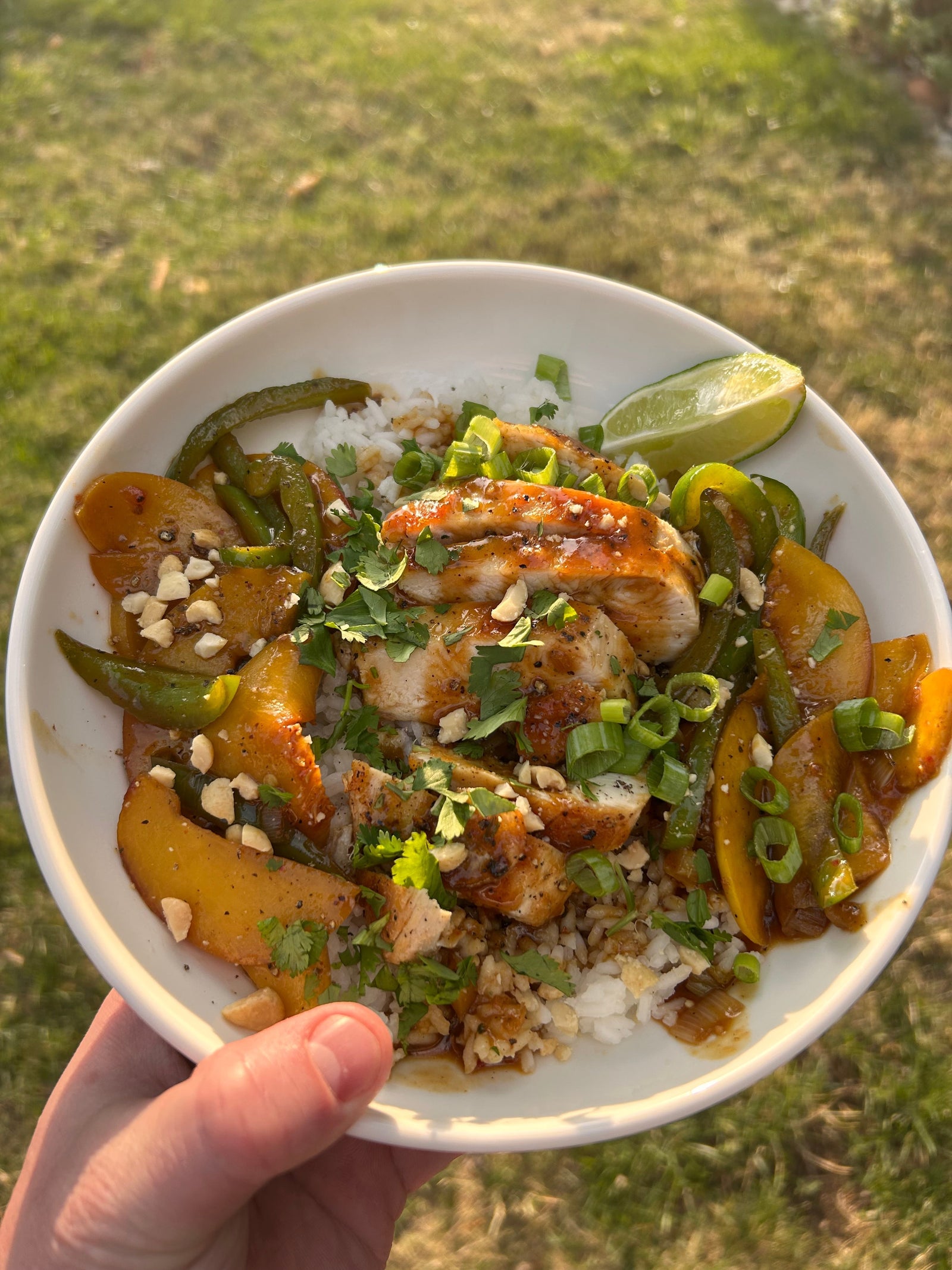 Thai Ginger Peach Chicken