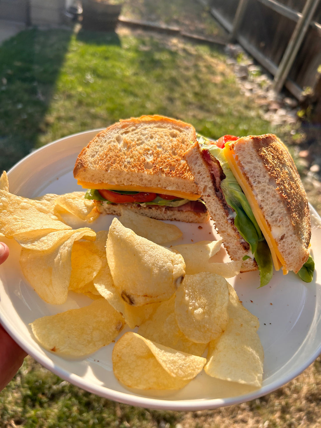 BLTCB Sandwiches