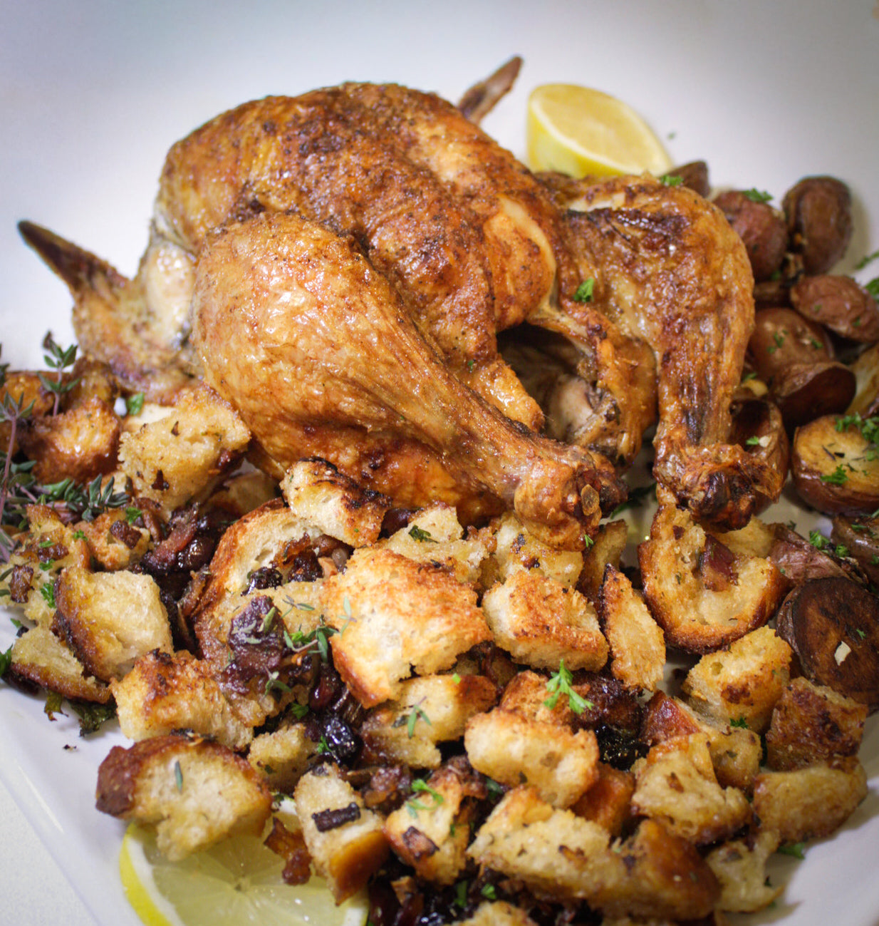 Roasted Chicken With Sour Cherry & Citrus Herb Stuffing