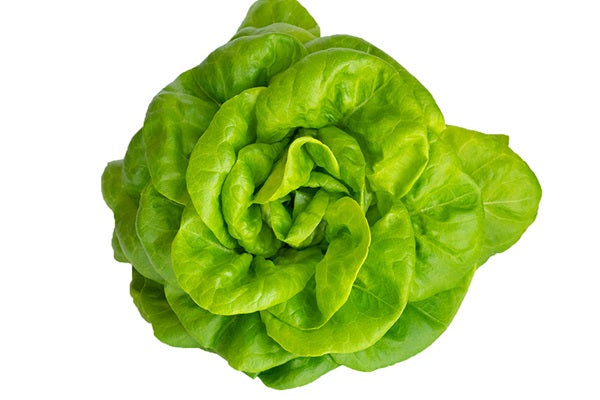 Lettuce Subscription