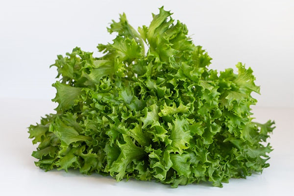 Infinite Harvest - Head of Lettuce - Sweet Crisp
